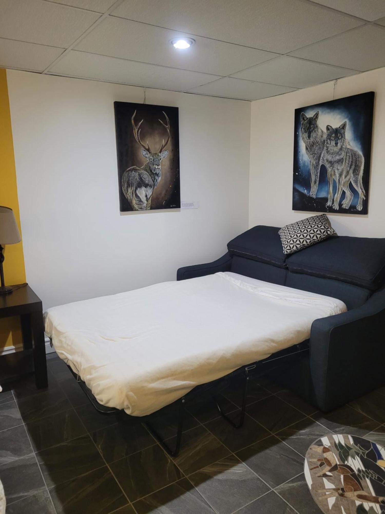 Studio Bellevue Saint-Félicien Exteriér fotografie